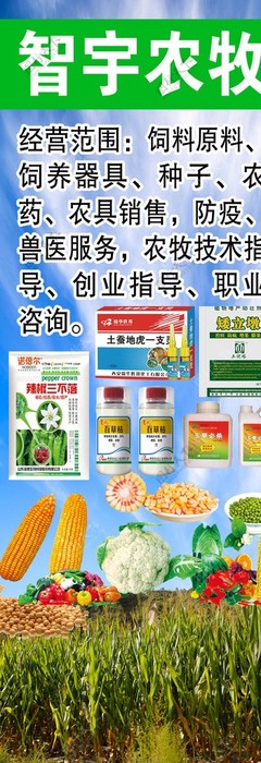 專(zhuān)業(yè)獸醫(yī)工具圖鑒 編號(hào)26937282素材的深度解讀與應(yīng)用