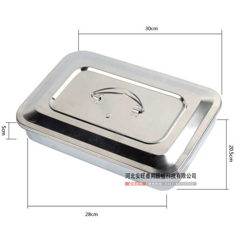 獸醫(yī)用手術(shù)器械全覽 從持針鉗到縫合線(xiàn)的專(zhuān)業(yè)工具解析
